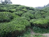 asiatour-2010-2010-02-03-14-04-53
