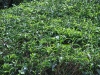 asiatour-2010-2010-02-03-14-05-09
