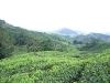 asiatour-2010-2010-02-03-14-06-57