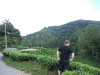 asiatour-2010-2010-02-03-14-08-57