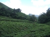 asiatour-2010-2010-02-03-14-13-24