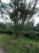 asiatour-2010-2010-02-03-14-14-19