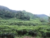 asiatour-2010-2010-02-03-14-14-37