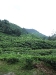 asiatour-2010-2010-02-03-14-14-42
