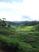 asiatour-2010-2010-02-03-14-15-11