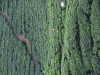 asiatour-2010-2010-02-03-14-16-45