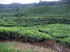 asiatour-2010-2010-02-03-14-17-26