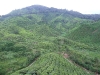 asiatour-2010-2010-02-03-14-57-02