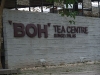 asiatour-2010-2010-02-03-15-03-19