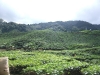 asiatour-2010-2010-02-03-15-19-25