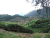 asiatour-2010-2010-02-03-15-26-29