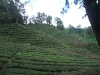 asiatour-2010-2010-02-03-15-26-49