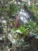 asiatour-2010-2010-02-03-16-15-27