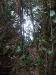 asiatour-2010-2010-02-03-16-17-28