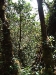 asiatour-2010-2010-02-03-16-22-04