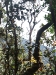 asiatour-2010-2010-02-03-16-22-44
