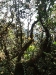 asiatour-2010-2010-02-03-16-22-49