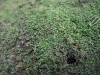 asiatour-2010-2010-02-03-16-25-23