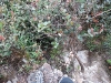 asiatour-2010-2010-02-03-16-31-27