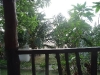 asiatour-2010-2010-01-26-08-17-45