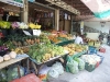 asiatour-2010-2010-01-27-12-44-59