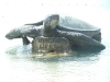 asiatour-2010-2010-01-28-14-22-59