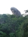 asiatour-2010-2010-01-28-16-10-17