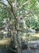 asiatour-2010-2010-01-29-14-54-39