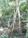 asiatour-2010-2010-01-29-15-11-00