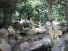 asiatour-2010-2010-01-29-15-12-12