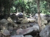 asiatour-2010-2010-01-29-15-12-26