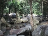 asiatour-2010-2010-01-29-15-12-33