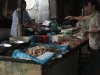 asiatour-2010-2010-02-06-12-46-54