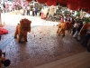 asiatour-2010-2010-02-07-14-04-58
