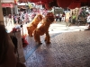 asiatour-2010-2010-02-07-14-07-38