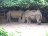 asiatour-2010-2010-02-11-16-36-31