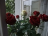 prag-2011-07-21_10-35-23