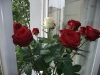 prag-2011-07-21_10-35-35