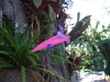 2012-10-21-at-11-41-07
