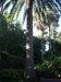 2012-10-21-at-11-42-18