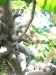 2012-10-21-at-11-43-55-1