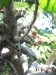 2012-10-21-at-11-44-02-1