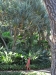 2012-10-21-at-11-44-42