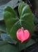 2012-10-21-at-11-47-01