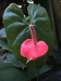 2012-10-21-at-11-47-14-1