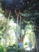 2012-10-21-at-11-52-58