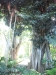 2012-10-21-at-11-53-07