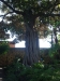 2012-10-21-at-11-53-27