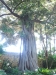 2012-10-21-at-11-53-42