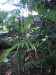 2012-10-21-at-11-56-22